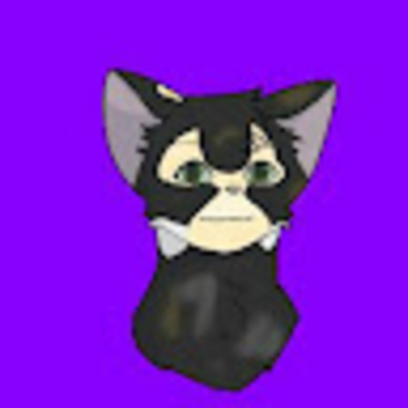 Meet your Posher, Riley - Picture 1 of 1